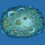 Sea Life Cериграфические панно из стеклянной мозаики Ezarri